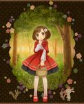  animal bad_id bad_pixiv_id basket brown_eyes brown_hair bunny capelet dress flower flower_(symbol) forest hair_flower hair_ornament inase little_red_riding_hood little_red_riding_hood_(grimm) mary_janes nature pantyhose red_capelet shoes solo squirrel tree wolf 