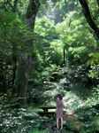  bad_id bad_pixiv_id bench black_hair bob_cut bottle child copyright_request forest furu japanese_clothes kimono nature plant scenery short_hair solo table tree water_bottle 