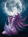 animal_ears bad_id bad_pixiv_id breasts brown_hair grass highres holo jewelry long_hair looking_up medium_breasts moon night night_sky nipples nude open_mouth pendant sitting sky solo spice_and_wolf tail tonee wolf_ears wolf_tail 