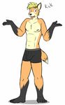  anthro boxer_briefs canine character_name clothing fox fuze guitar male mammal musical_instrument nipples rick_(fuze) simple_background texnatsu underwear white_background 