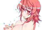  blush breasts commentary_request kusanagi_tonbo large_breasts looking_at_viewer mitsuru-kun(kusanagi_tonbo) nipples nude open_mouth red_eyes red_hair short_hair solo 