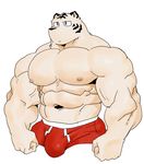  2018 abs anthro biceps bugle clothing digital_media_(artwork) feline fur hi_res kemono male mammal muscular muscular_male nipples pecs simple_background syukapong tiger underwear 
