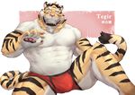  2018 anthro bulge clothed clothing feline fur hi_res kemono male mammal muscular simple_background taki_kaze tiger 