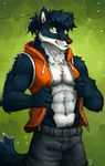  2018 5_fingers abs anthro blue_fur brown_nose canine clothed clothing fur green_background looking_at_viewer male mammal muscular muscular_male pants pecs simple_background solo tasanko vest white_fur wolf yellow_eyes 