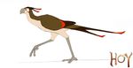  2005 ambiguous_gender animated avian beak bird brown_feathers feathered_wings feathers feral grey_beak markings novawuff red_markings secretary_bird side_view simple_background solo tail_feathers tan_belly walking white_background wings 