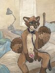  anthro balls bed bedding black_nose blanket blue_eyes brown_fur collar desk fur green_eyes half-erect humanoid_penis inside leash male mammal navel nipples nude on_bed penis pillow pink_penis procyonid raccoon sicklyhypnos sitting smile solo spread_legs spreading tan_fur white_fur window 