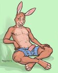  2016 4_toes absurd_res anthro boxers_(clothing) chewycuticle clothing countershading digital_media_(artwork) erection fingerless_(marking) green_background green_eyes hi_res humanoid_penis lagomorph looking_at_viewer male mammal mostly_nude penis penis_through_fly poking_out rabbit simple_background sitting solo toeless_(marking) toes underwear 