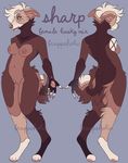  anthro biped blue_eyes breasts brown_fur canine dog female frappeholic fur hair mammal model_sheet nipples white_hair 