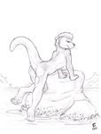  2018 anthro bedroom_eyes breasts female flinters half-closed_eyes looking_at_viewer looking_back mammal mustelid nude otter outside pussy raised_tail seductive side_boob solo water whiskers 
