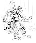  3_toes 4_fingers anthro black_and_white claws clothed clothing dancing digital_drawing_(artwork) digital_media_(artwork) disney duo english_text feet feline fur furii hair human male mammal markings monochrome multicolored_fur multicolored_tail shorts smile spiral spiral_eyes standing striped_fur striped_tail stripes text tiger tiger_dancer_(zootopia) toe_claws toes topless torn_clothing transformation zootopia zootopia_shorts 