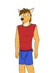  blue_underwear boxer_briefs bulge canine clothing coyote fuze male mammal mond_reyes red_shirt shirt texnatsu underwear 