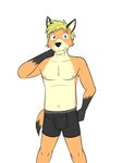  black_underwear boxer_briefs bulge canine clothed clothing fox fuze male mammal rick_(fuze) solo texnatsu topless underwear 