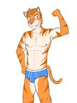  blue_underwear briefs bulge clothed clothing feline fuze joe_(fuze) male mammal solo texnatsu tiger topless underwear 