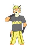  canine clothed clothing fox fully_clothed fuze male mammal rick_(fuze) solo texnatsu 