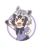  :d animal_ears arm_up black_gloves black_hair black_neckwear bow bowtie brown_eyes common_raccoon_(kemono_friends) doremifa_rondo_(vocaloid) extra_ears eyebrows_visible_through_hair fang fur_collar gloves grey_hair hand_on_hip kemono_friends looking_at_viewer multicolored_hair official_art open_mouth raccoon_ears short_hair short_sleeves smile solo tama_(songe) white_background 