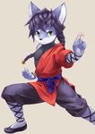  2018 anthro braided_hair canine clothed clothing digital_media_(artwork) green_eyes hair kemoisumi kemono long_hair looking_at_viewer male mammal martial_arts pose simple_background solo standing young 