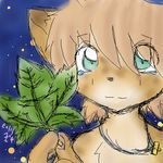  2007 digital_media_(artwork) enlil feline jewelry kemono leaf mammal necklace night oekaki teal_eyes tears 