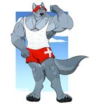  anthro bulge canine clothing flexing hat lifeguard looking_at_viewer male mammal mosin muscular muscular_male shirt smile solo standing tank_top whistle 