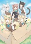  :d animal_ears black_hair blonde_hair blue_eyes bow bowtie box brown_hair cardboard_box cat_ears cat_tail clover commentary_request dog_ears flower four-leaf_clover fox_ears fox_tail green_eyes head_wreath highres long_hair long_sleeves looking_at_viewer multicolored_hair multiple_girls nekoya_saki open_mouth parted_lips school_uniform short_hair short_sleeves sitting sleeves_past_wrists sleeves_rolled_up smile striped_tail sweater tail two-tone_hair white_hair wreath yellow_eyes 