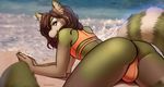  anthro beach bulge butt clothed clothing crossdressing girly looking_back male mammal outside red_panda seaside smiju smile solo swimsuit thick_thighs 
