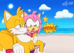  amy_rose balls beach blue_eyes blush canine chair clothing cloud dialogue dress erection excito eyelashes female fox fur gloves green_eyes half-closed_eyes hand_on_penis handjob hedgehog male mammal miles_prower open_mouth outside penis sea seaside sex sitting smile sonic_(series) spreading steam sun water 