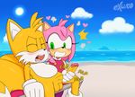  &lt;3 amy_rose balls beach blush canine chair clothing cloud dress drooling erection excito eyelashes eyes_closed female fox fur gloves green_eyes handjob hedgehog male mammal miles_prower outside penis saliva sea seaside sex sitting sonic_(series) sound_effects spreading steam sun sweat water 
