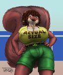  2018 anthro big_breasts breasts brown_eyes brown_fur claws cleavage clothed clothing dreadlocks female fluffy fluffy_tail fur hair hands_on_hips hi_res jewelry kencougr looking_at_viewer low-angle_view mammal necklace nipple_bulge portrait rochelle_(rochelle) rodent short_hair shorts simple_background smile solo squirrel text three-quarter_portrait 