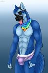  2018 5_fingers abs anthro athletic bandanna black_fur black_nose blue_background blue_eyes blue_fur bulge canine cinta clothing dog fur german_shepherd looking_at_viewer male mammal multicolored_fur muscular simple_background smile solo standing tongue tongue_out two_tone_fur underwear 