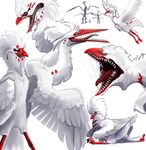  2011 alradeck avian digital_media_(artwork) feathers feral open_mouth solo teeth tongue white_feathers 