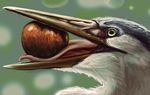  alradeck avian beak bird detailed_background feral green_eyes open_mouth solo tongue 