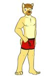  boxer_briefs clothed clothing fuze fuze_hyena hyena male mammal red_underwear simple_background topless underwear white_background 