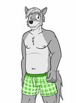  boxers_(clothing) canine clothed clothing fuze green_underwear jadefire male mammal nipples slightly_fat underwear wolf 