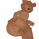  2018 absurd_res anthro anus backsack balls bear big_butt brown_fur brown_nose butt chest_tuft cub digital_media_(artwork) fur hi_res kittzy little_bear little_bear_(character) looking_at_viewer male mammal nude perineum presenting presenting_hindquarters solo tuft young 