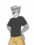  canine clothed clothing fully_clothed fuze jadefire mammal pants shirt t-shirt wolf 