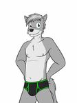  black_underwear briefs canine clothed clothing fuze jadefire mammal nipples shirt t-shirt underwear wolf 