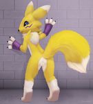  2018 against_wall anthro barefoot black_nose blue_eyes butt butt_pose digimon digital_media_(artwork) female fluffy fluffy_tail fur hands_on_wall hi_res jamesfoxbr lineless lineless_art long_ears looking_at_viewer looking_back mammal multicolored_fur nude pussy renamon standing yellow_fur 