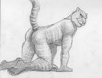  butt cirruskitfox denatri feline male mammal monochrome solo tiger 