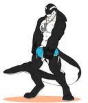  anthro bulge cetacean clothed clothing fingerless_gloves gloves hook jewelry kenjin looking_at_viewer male mammal marine muscular muscular_male necklace orca penis smile solo standing swimsuit topless wet whale 