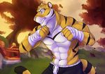  anthro bandage clothed clothing feline fur male mammal muscular muscular_male outside solaxe_(artist) solo standing teeth tiger topless 