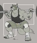  2017 abs anthro bandage belt biceps big_muscles bulge canine claws clenched_teeth clothing crouching exercise foot_wraps fur grey_eyes grey_fur grey_nipples grey_nose hi_res knee_pads male mammal mask muscular muscular_male nightterror nipples obliques pants pecs shirt shorts solo sweat tank_top tattoo teeth toe_claws triceps vest weightlifting weights wolf workout wraps 