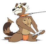  anthro bdsm bondage bound brown_fur bulge claws clothing collar digital_media_(artwork) fur guardians_of_the_galaxy handcuffs haps hi_res leash male mammal marvel navel nipples procyonid raccoon rocket_raccoon shackles simple_background solo teeth thong underwear 