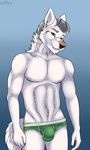  2018 5_fingers anthro blue_background brown_nose bulge canine cinta clothed clothing eyebrows fur green_eyes grey_hair hair looking_at_viewer male mammal nipples simple_background smile solo standing topless underwear white_fur white_hair wolf 