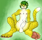  2016 anthro balls erection feline fifa green_eyes green_hair hair leopard looking_at_viewer male mammal mascot pawpads penis presenting sebafox simple_background solo south_africa world_cup zakumi 