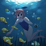  air_bubble bare_legs blue_swimsuit breasts brown_eyes brown_hair bubble bubble_blowing clownfish competition_school_swimsuit full_body highres nichijou one-piece_swimsuit open_mouth short_hair small_breasts swimsuit tachibana_misato techsupportdog underwater 