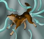  canine cum feral forced mammal penetration rape tentacles 