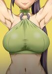  1girl armpits blush breasts crop_top dragon_quest dragon_quest_xi head_out_of_frame large_breasts lips martina_(dq11) midriff navel ponytail seductive_smile smile 