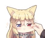  :&gt; animal_ears babydoll bangs blonde_hair blue_eyes cat_ears chibi closed_mouth eyebrows_visible_through_hair fingernails foreign_blue g41_(girls_frontline) girls_frontline hair_between_eyes half-closed_eyes heterochromia korean long_sleeves lowres out_of_frame red_eyes simple_background sparkle translation_request white_babydoll white_background 