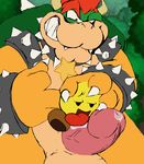  bowser bowser&#039;s_inside_story chippy nintendo praiz starlow super_mario_bros. 