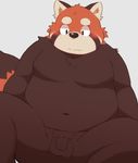  2018 96k-k 96tning anthro belly blush male mammal moobs overweight overweight_male penis red_panda simple_background sitting solo white_background 