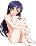  bangs blue_hair blush collarbone commentary_request crossed_ankles embarrassed hair_between_eyes head_tilt leg_hug leg_up long_hair looking_at_viewer love_live! love_live!_school_idol_project nude open_mouth simple_background sitting solo sonoda_umi wewe white_background yellow_eyes 